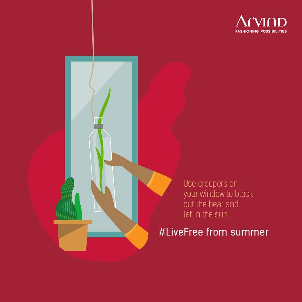 When the dog days of summer start getting to you, try this DIY hack. Creepers near the window allow the light to come in while blocking out the heat. #LiveFree from summer this season. 
#ArvindFashioningPossibilities #Summer